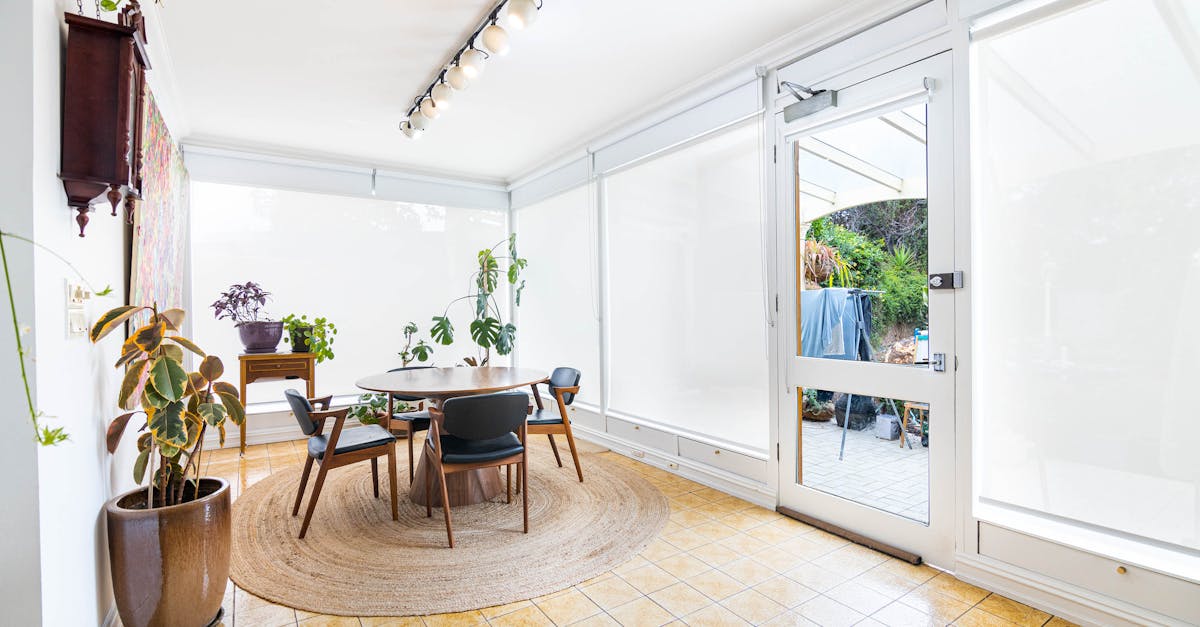 Strategies for Clearing Away Algae Growth on Patios