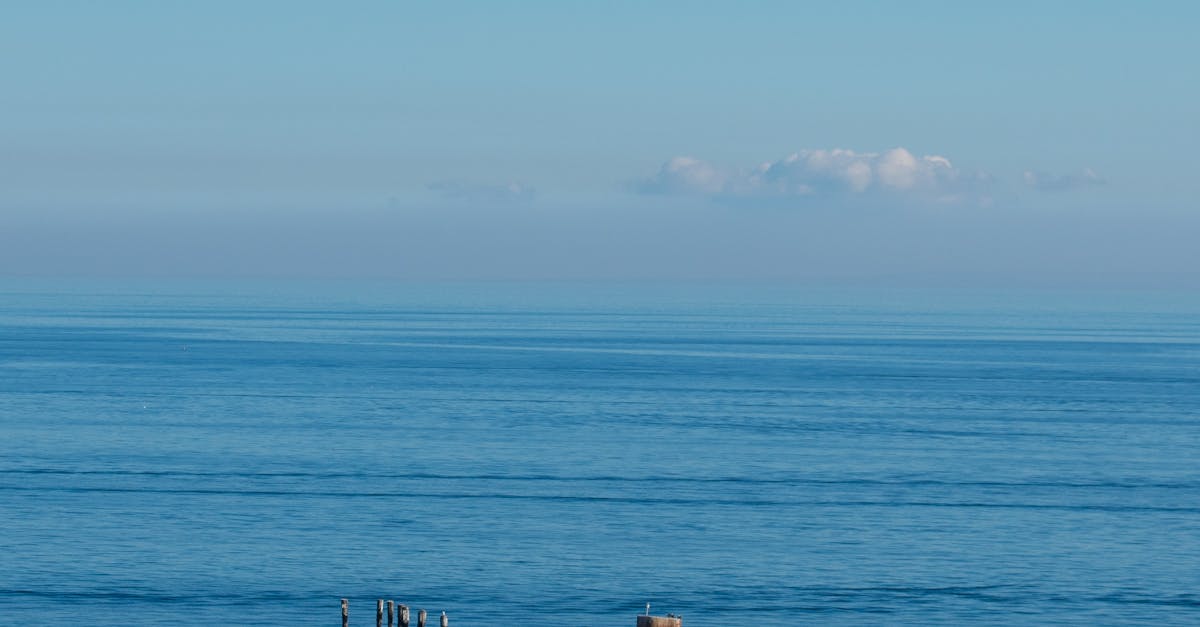 The Best Pressure Washing Equipment for Concrete Patio Care