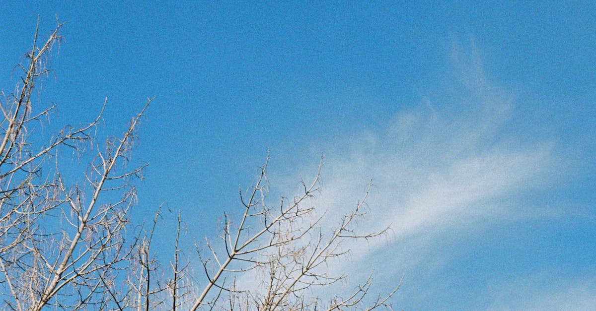 Tips for Achieving a Smooth Finish When Sealing